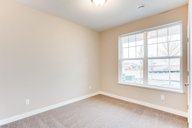 unfurnished room with carpet flooring and a textured ceiling