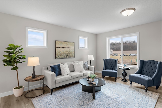 living room with wood finished floors and baseboards