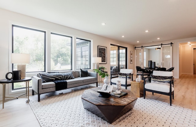 living room with a barn door and light hardwood / wood-style floors