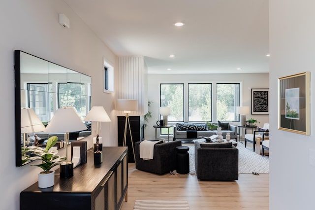 living room featuring light hardwood / wood-style floors