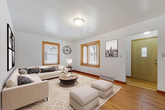 living room featuring hardwood / wood-style flooring