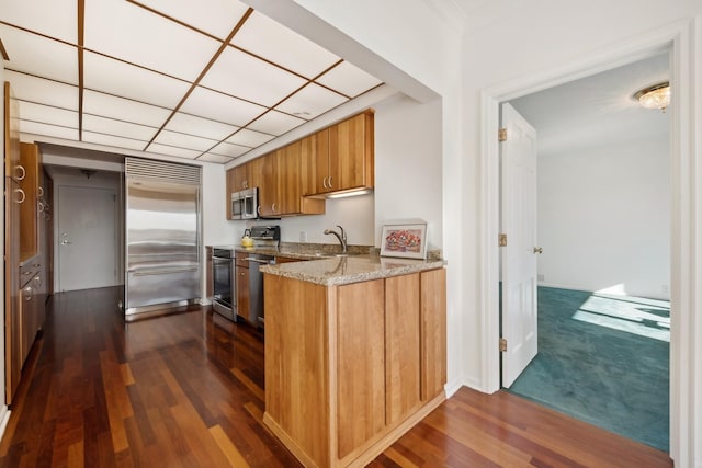 kitchen featuring sink, light stone counters, dark hardwood / wood-style flooring, and stainless steel appliances