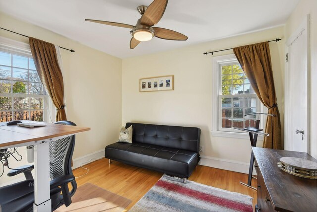 office space featuring light hardwood / wood-style floors and ceiling fan