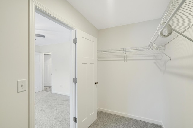 spacious closet featuring light carpet