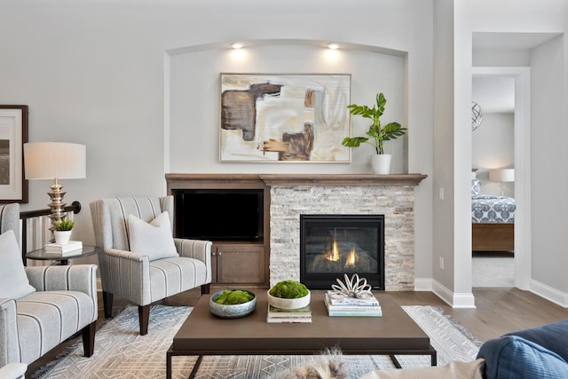 living room with a fireplace and wood-type flooring