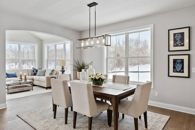 dining room featuring dark hardwood / wood-style floors and a textured ceiling