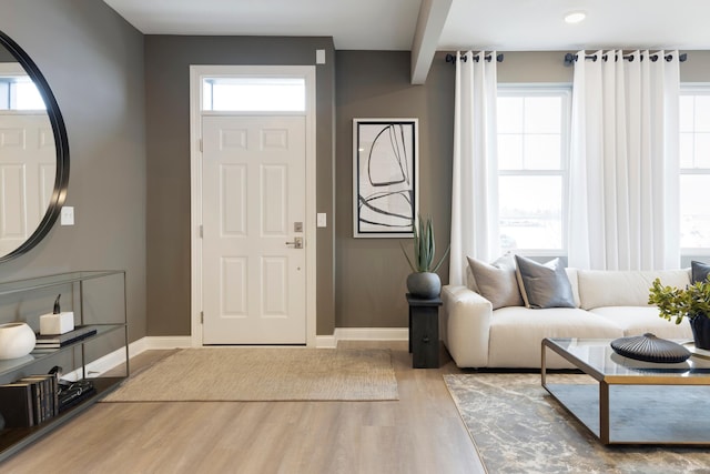 foyer entrance with hardwood / wood-style flooring