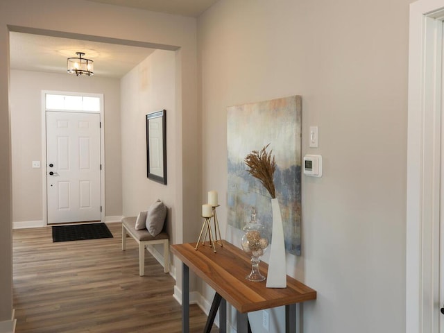 foyer featuring wood-type flooring