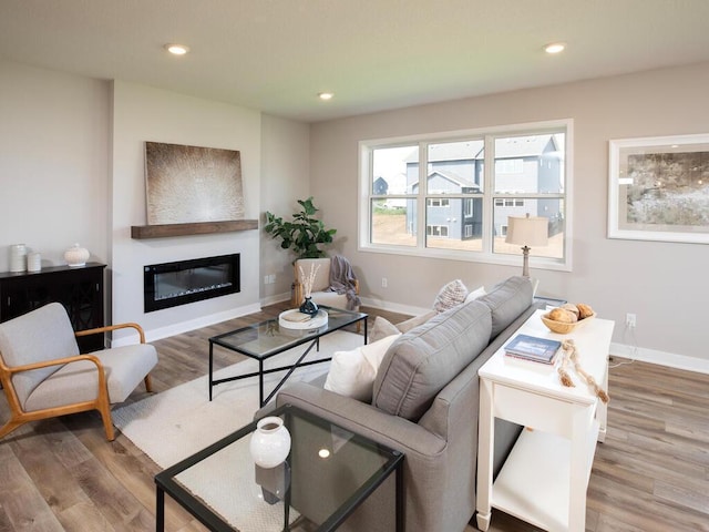 living room with hardwood / wood-style flooring