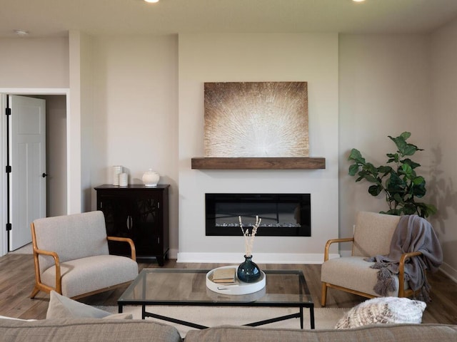 living room featuring hardwood / wood-style floors