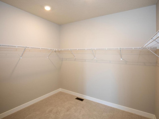 spacious closet with carpet floors