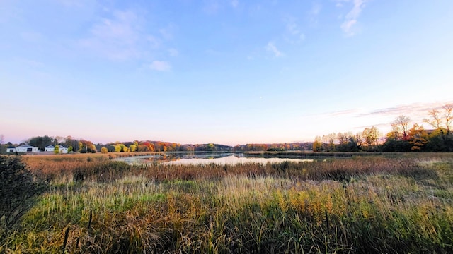 view of nature at dusk