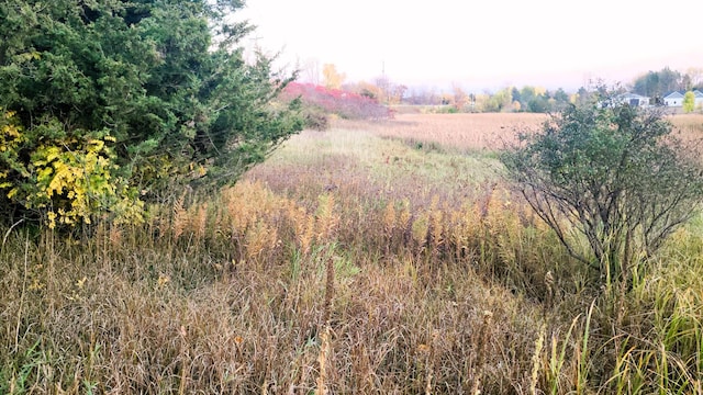 view of local wilderness with a rural view