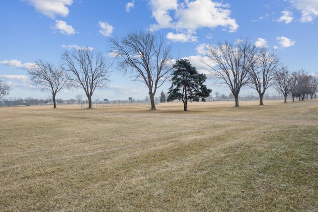 view of yard featuring a rural view