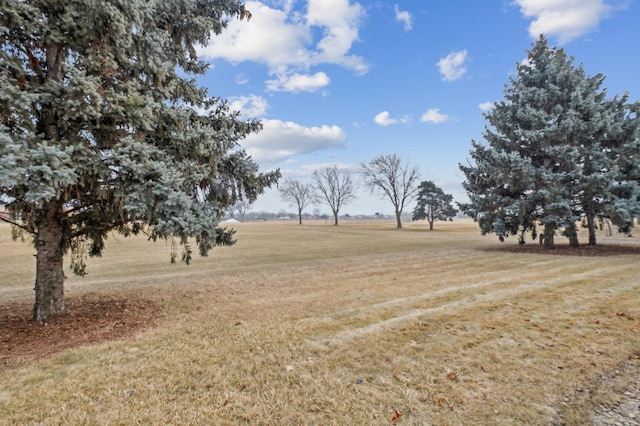 view of yard featuring a rural view