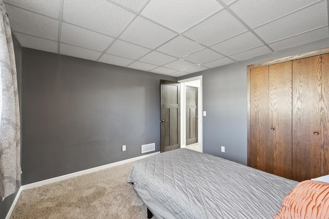 carpeted bedroom featuring a paneled ceiling and a closet