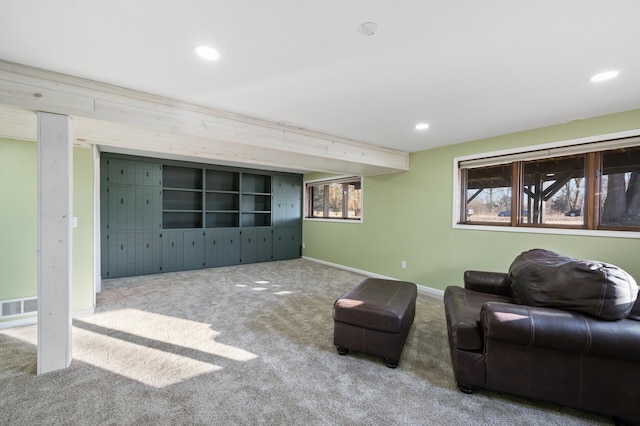 carpeted living room with a wealth of natural light