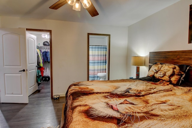 bedroom featuring ensuite bathroom, a walk in closet, ceiling fan, dark hardwood / wood-style floors, and a closet