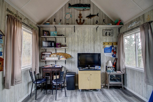 interior space featuring lofted ceiling and a wealth of natural light