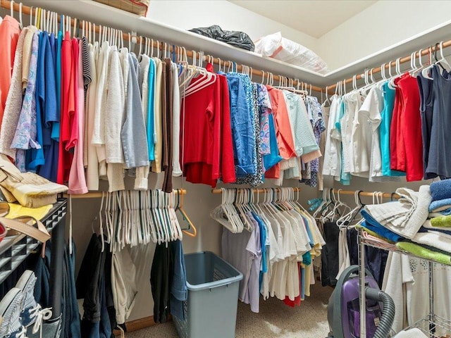 walk in closet with carpet floors