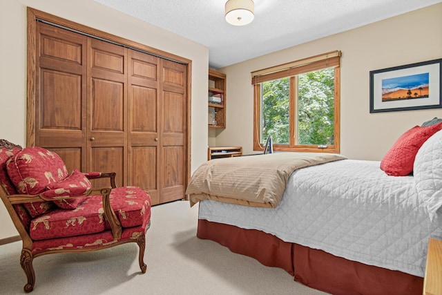 6678 Hemlock Ln N, Maple Grove, MN 55369 - bedroom featuring carpet floors and a closet