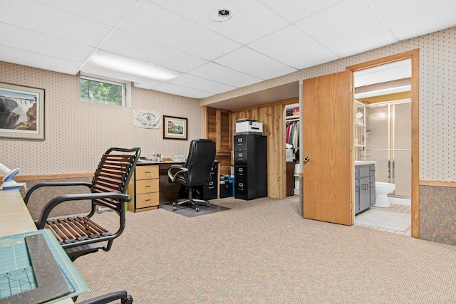 6678 Hemlock Ln N, Maple Grove, MN 55369 - office space featuring wallpapered walls, carpet floors, and a drop ceiling