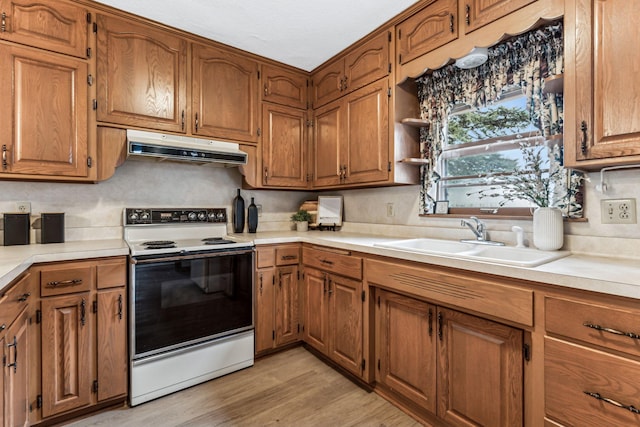 kitchen featuring sink, light hardwood / wood-style floors, and white electric stove