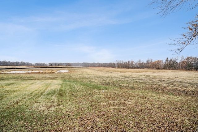 view of yard featuring a rural view