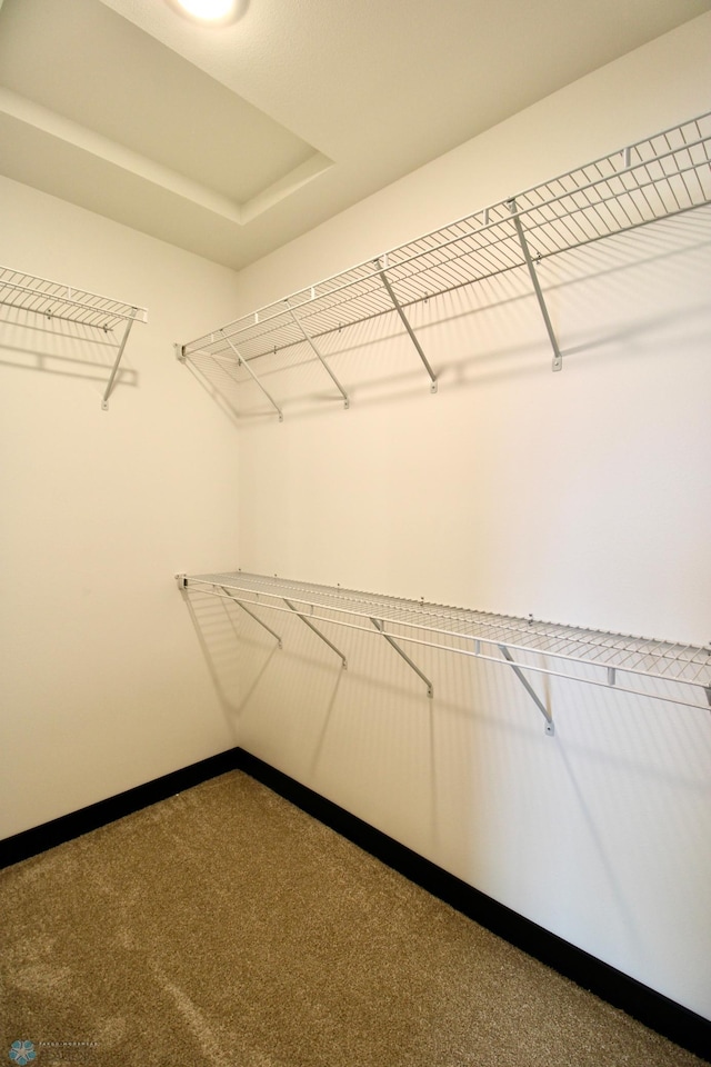 6721 67th Ave S, Horace, ND 58047 - spacious closet with carpet floors