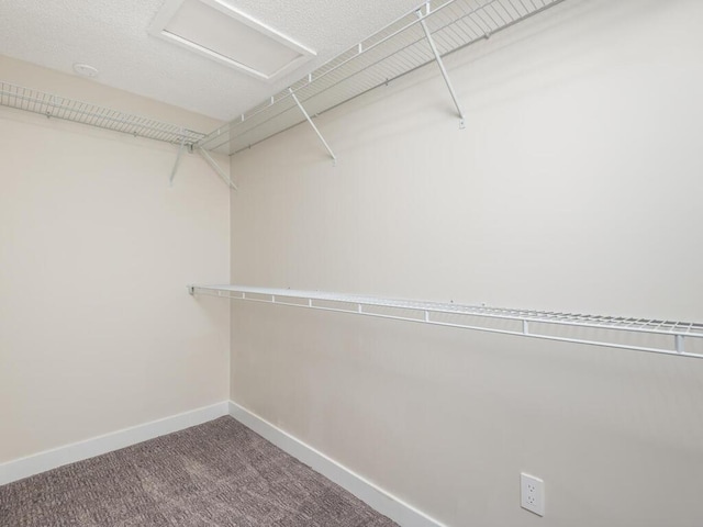 spacious closet with carpet flooring