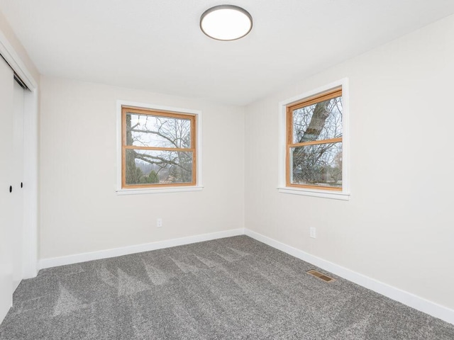 unfurnished bedroom featuring carpet flooring, multiple windows, and a closet