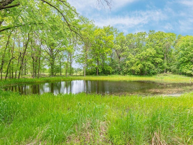 10814 Pioneer Dr SE, Milaca, MN 56353 - photo 43