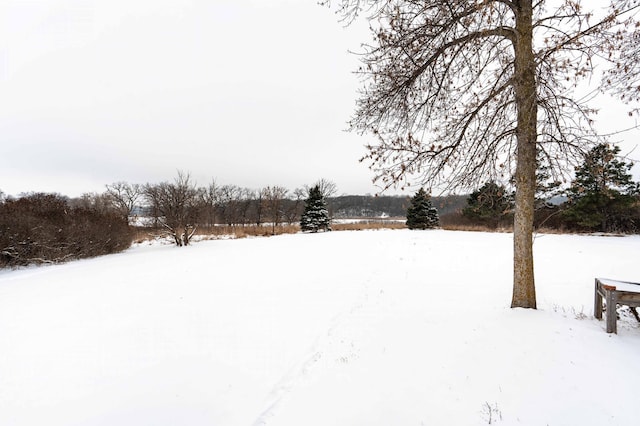 view of yard layered in snow