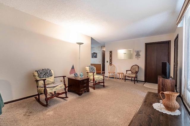 living area featuring a textured ceiling and carpet floors