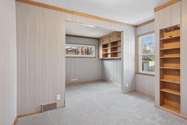 carpeted empty room with crown molding and a textured ceiling