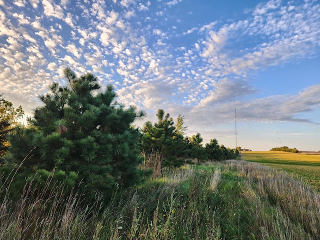 view of local wilderness with a rural view