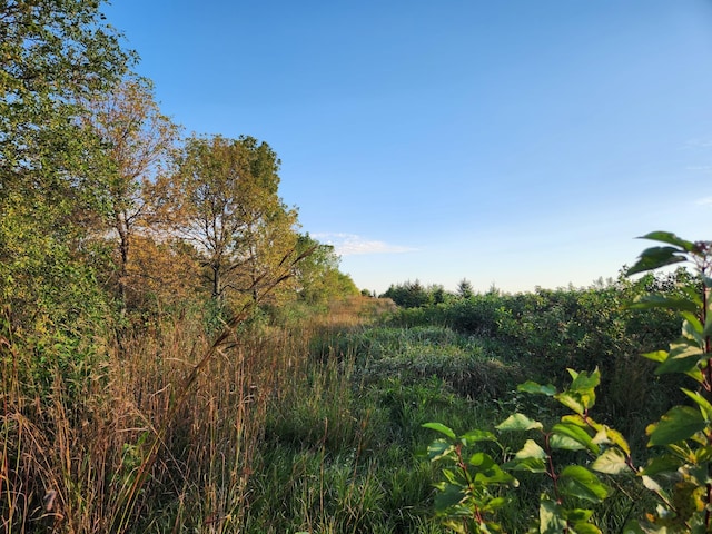 view of nature