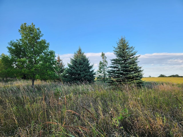 view of landscape with a rural view