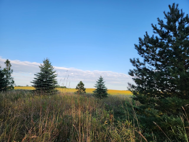 view of landscape featuring a rural view