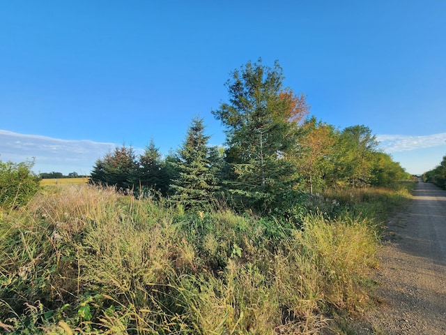 view of local wilderness with a rural view