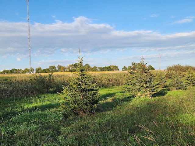 view of nature with a rural view