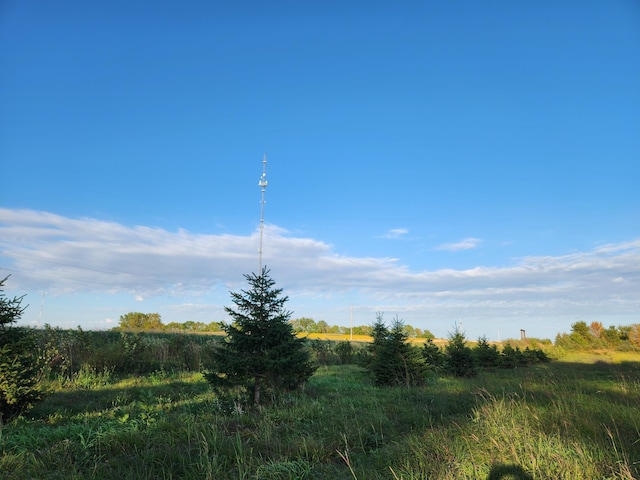 view of landscape featuring a rural view