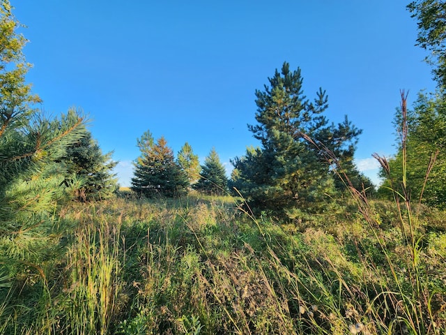 view of nature
