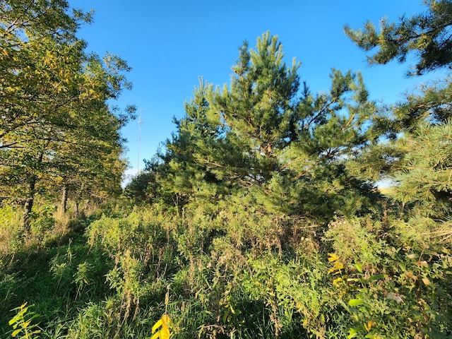 view of nature