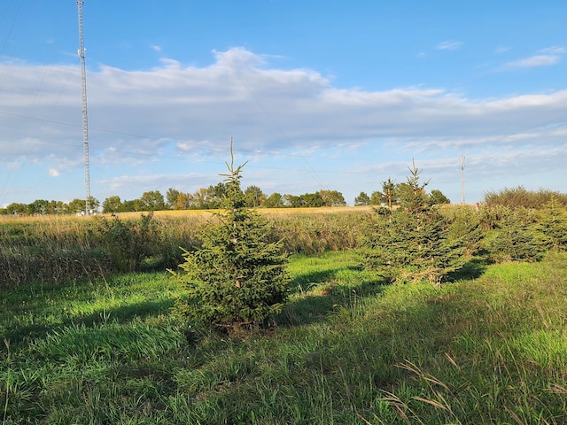 view of local wilderness with a rural view