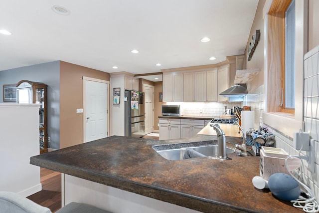 kitchen featuring wood finished floors, a peninsula, a sink, stainless steel appliances, and backsplash