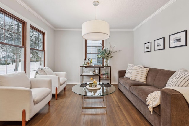 living room featuring crown molding and dark wood-type flooring