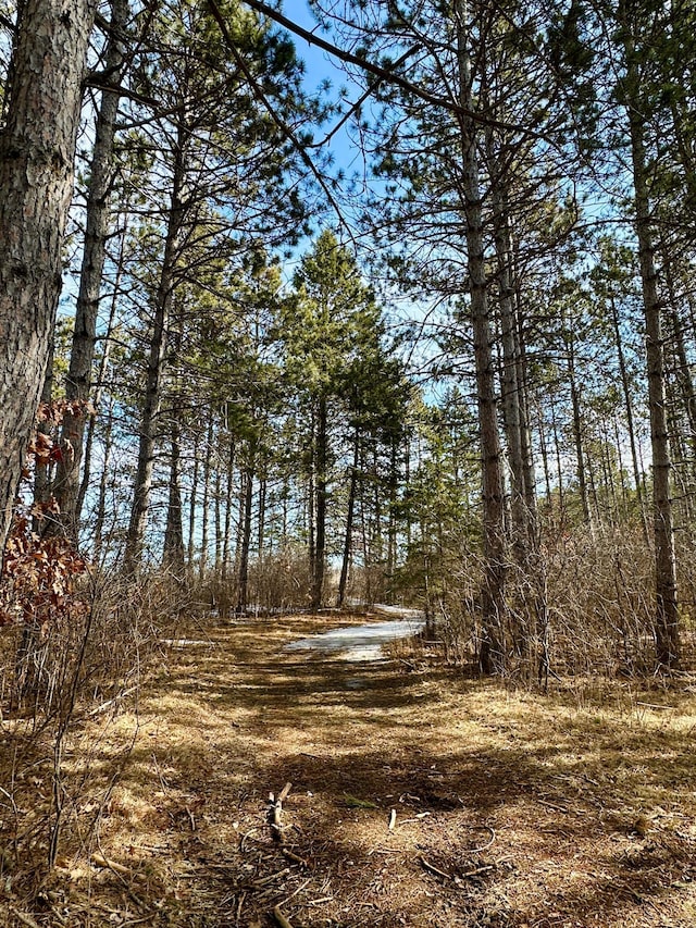 view of local wilderness