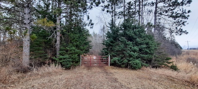 view of yard with a gate