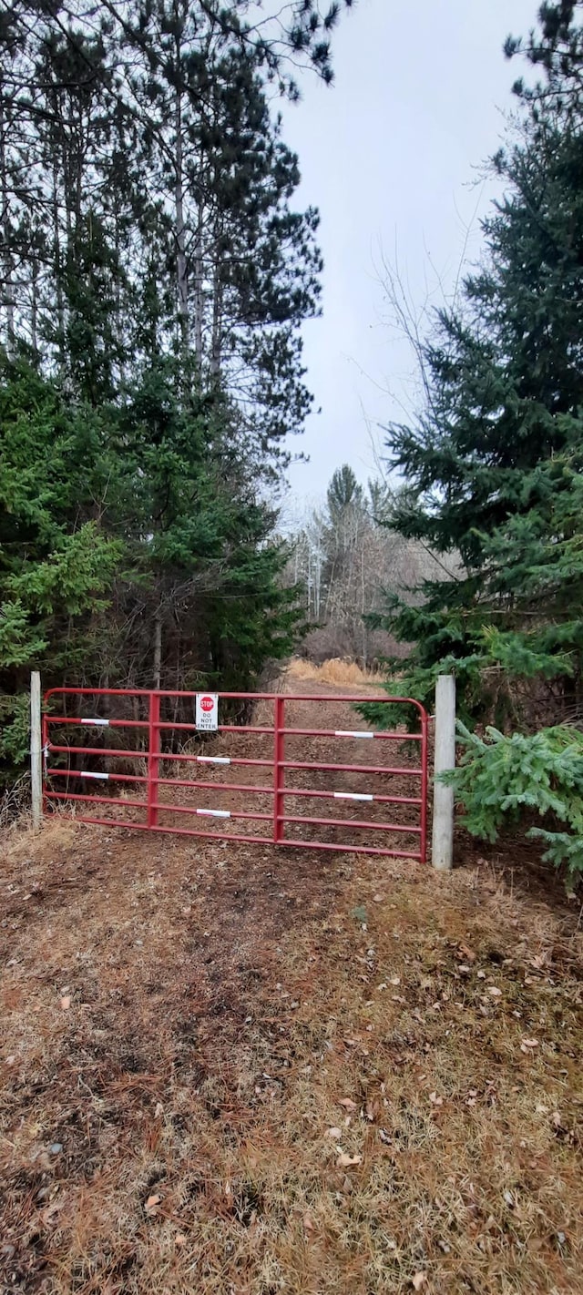 view of yard with fence and a gate